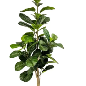 Umělý Ficus Lyrata 170