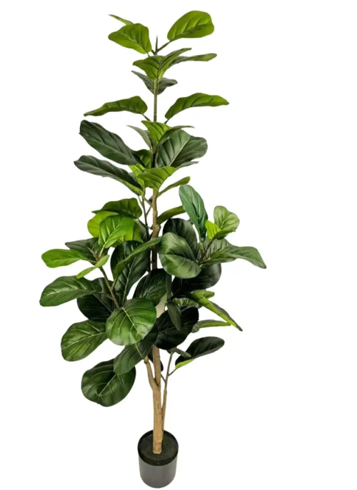Umělý Ficus Lyrata 170
