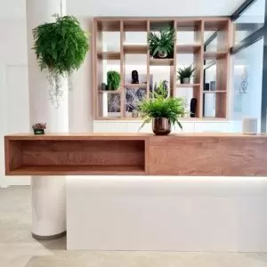 umělý-papraď-guľa-55-cm v kanceláři