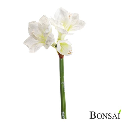 Umělý Amarilis 68 so sněhem