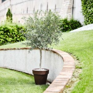 Ozdobná nádoba - ozdobná květináč žardinjera Gigantus