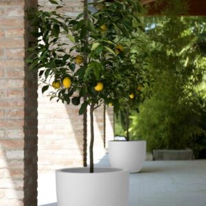 ozdobná-květináč-Aria-54-bílá