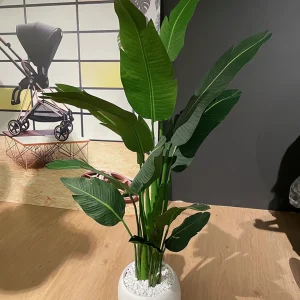 Umělá strelicie - umělé rostliny BONSAI