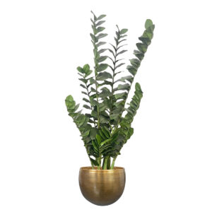 Umělá Zamia 110 cm – exotická dekorace
