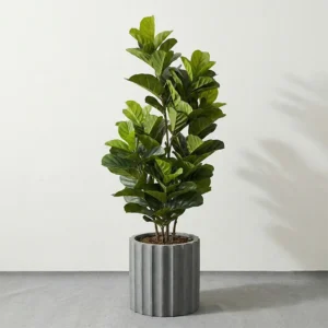 Umělý figovník Lyrata 150 cm s UV ochranou – dekorace do interiéru i exteriéru