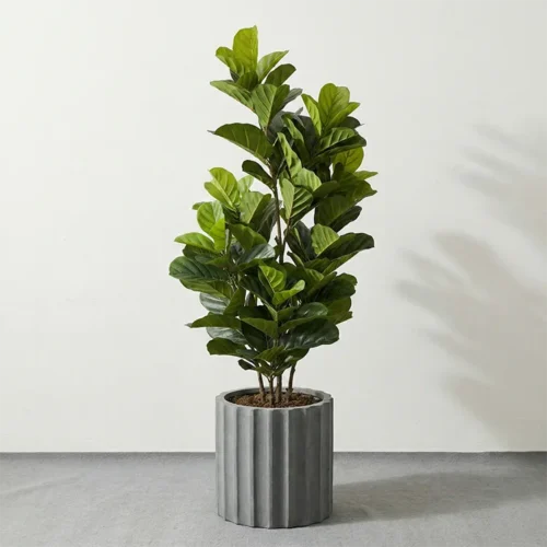 Umělý figovník Lyrata 150 cm s UV ochranou – BONSAI DEKOR Umělý figovník Lyrata 150 cm s UV ochranou – dekorace do interiéru i exteriéru