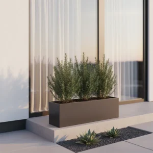 Rozmarýnový keř 60 cm UV