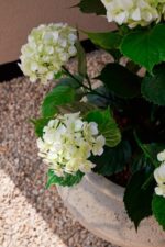 Umělá hortenzie 90 cm UV zoom