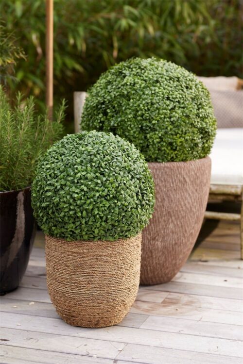 Umělý buxus 53 cm UV