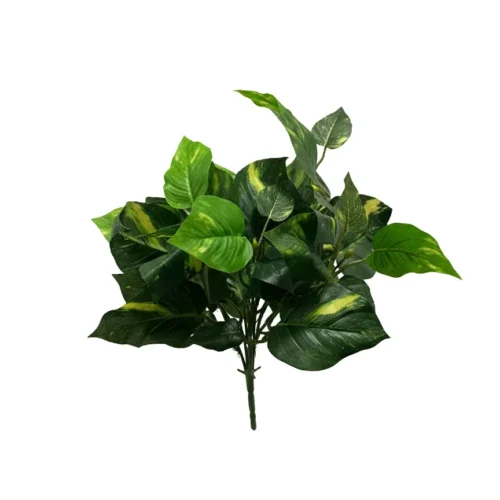 Filodendronový keř 46 cm UV