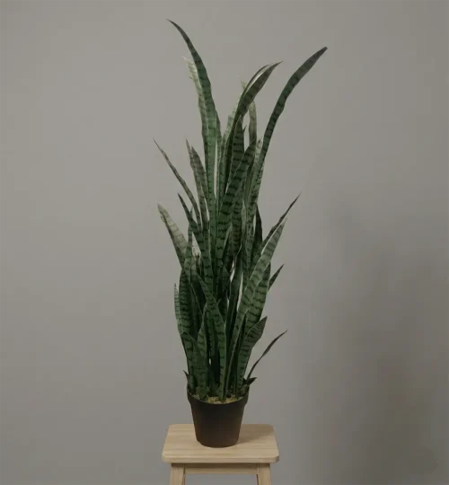 Umělá Sansevieria Urban 120 cm