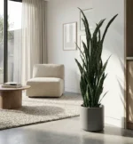 Umělá Sansevieria Urban