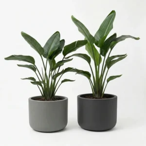 Květináč Pulse 50