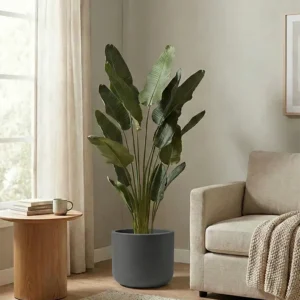 Květináč Pulse 50