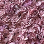 Detail světle růžových květů na květinové stěně Valentino