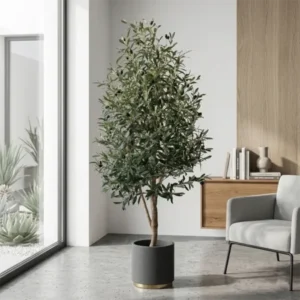 Umělá oliva Toscana 170 cm s přírodním kmenem