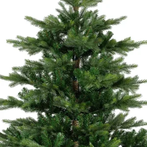 Hustá koruna vánočního stromku Grandis 210 cm